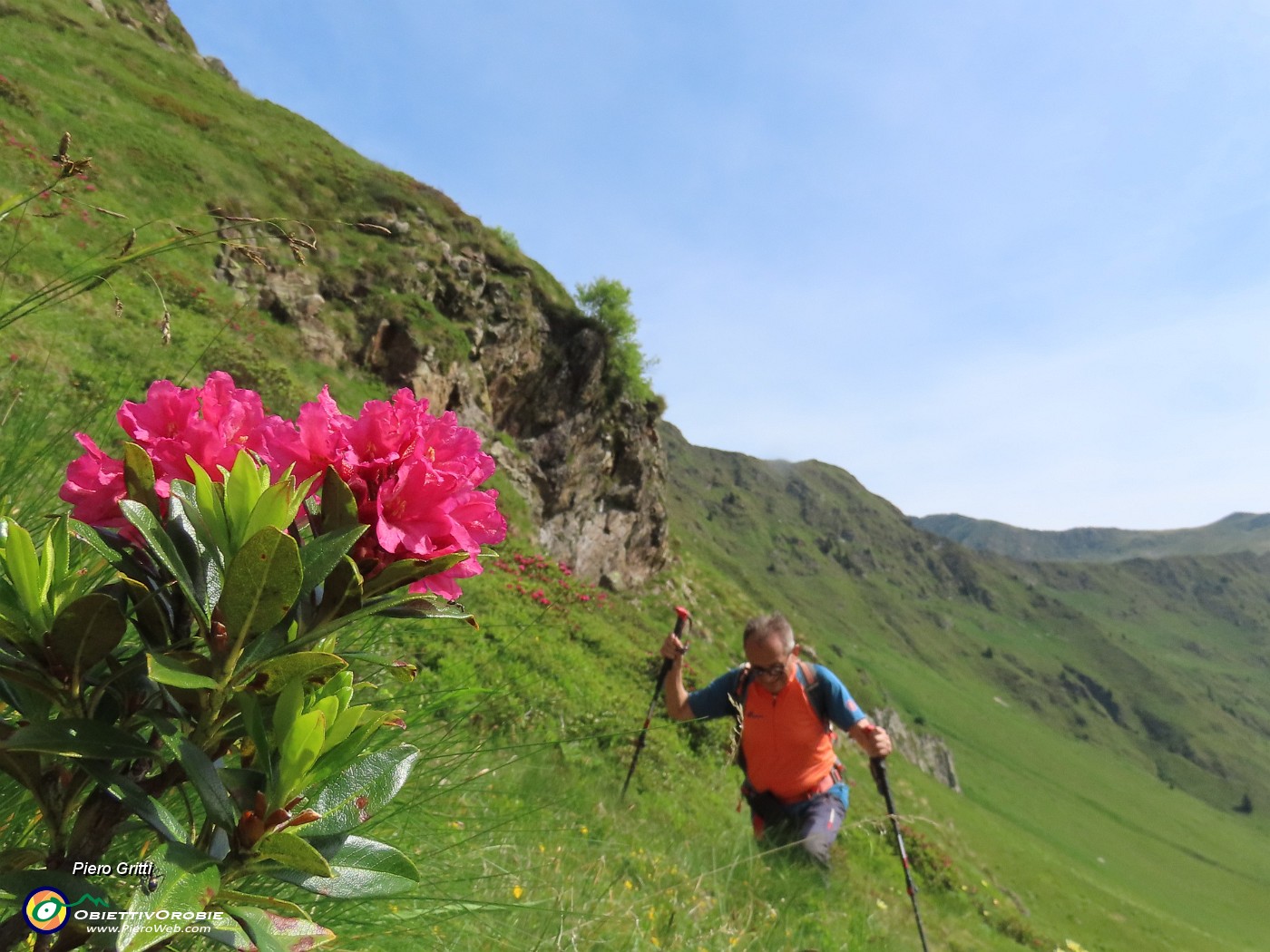 27 Saliamo alla Forcella Rossa (rossa per lle distese di rododendri rossi).JPG